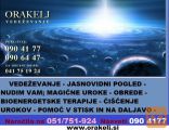 POGLED ZA VAŠO PRIHODNOST PRI ORAKLJU NA 0904177
