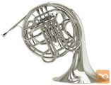 Francoski Rog Double F/bb-Bb/f 8D Connstellation