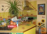 Pivka Dolnja Košana 2,5-sobno 63,64 m2