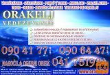 0904177 VEDEŽEVANJE JASNOVIDNOST PRI ORAKLJU
