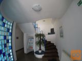 Celje Lava poslovni kompleks 300 m2