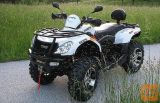 Goes 625 COBALT MAX LTD EPS