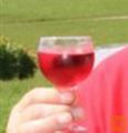 Cviček