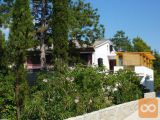 otok Krk, Punat