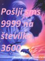 Pošlji 9999 TINIKA na 3600
