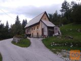 oglas naslov