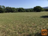 Sežana Štorje 34028 m2