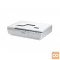 Epson WorkForce DS-5500 (B11B205131)
