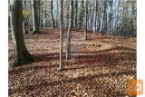 MEŠANO ZEMLJIŠČE -728 M2 STAVBNEGA, V DOLIČ