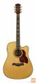 RICHWOOD D-70-CEVA MASTER Akustična kitara akustične kitare