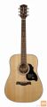 RICHWOOD D-40 MASTER Akustična kitara akustične kitare