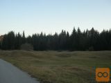 Loška dolina Novi kot 16.938,00 m2