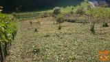 Šmartno pri Litiji Zagrič Primskovo Zazidljiva 1000 m2