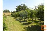 MB-Mesto Zazidljiva 57 m2