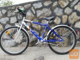 KOLO ROG ROBINSON 24 COL