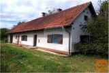 PTUJ SAMOSTOJNA HIŠA S POSESTVOM PRODAMO