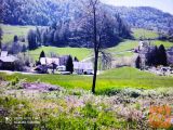Zagorje ob Savi IZLAKE Zazidljiva 7188 m2