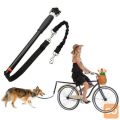 Pasji povodec za kolo – kolesarjenje